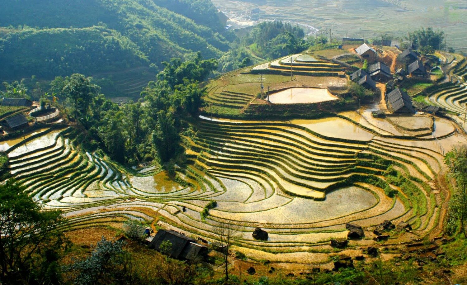 Tả Van